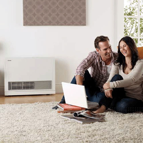 rinnai 559ft energy saver