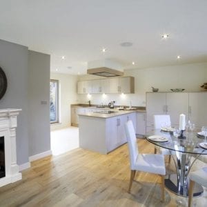 Winston DFP26 insitu