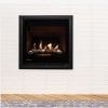rinnai 650 flame fire