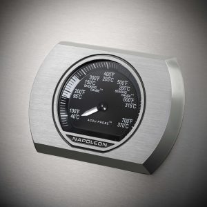 Rogue-1-Details-Thermostat-SS